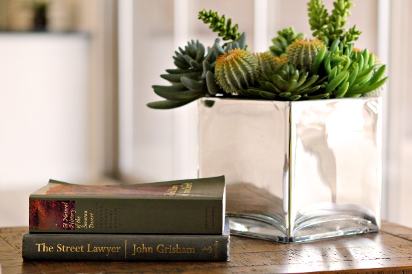 Staging accessories a book and potted plant